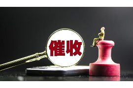 景德镇企业清欠服务